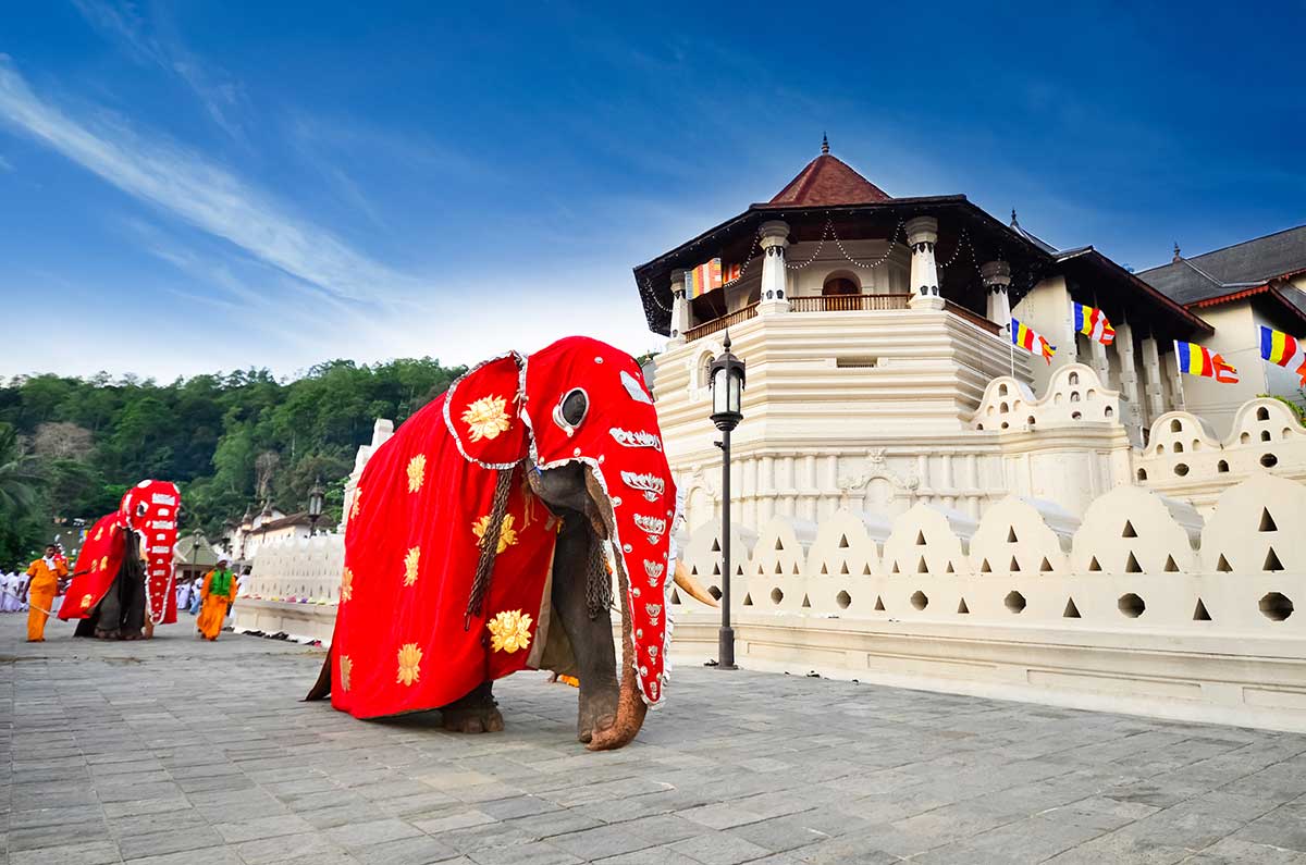 Kandy & Temple of Tooth